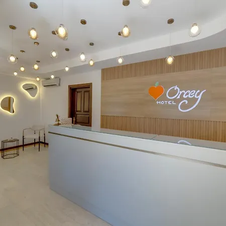 Orcey Hotel 3*