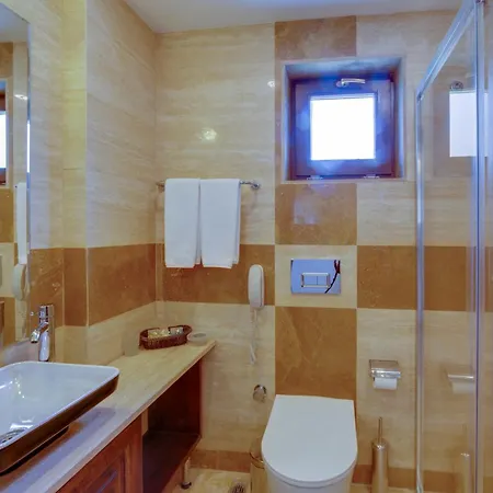 Hotel Orcey 3*