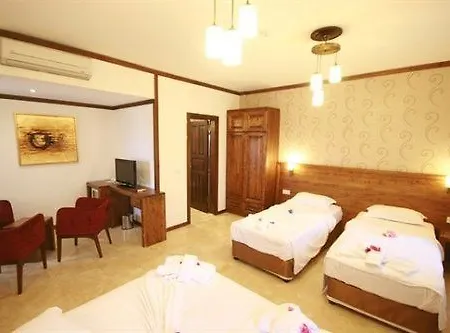 Hotel Orcey 3*